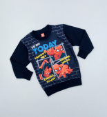 Свитшот для мальчика TRP5415