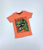 Футболка для мальчика TRP6929