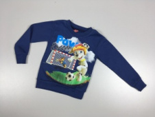 Свитшот для мальчика TRP2070